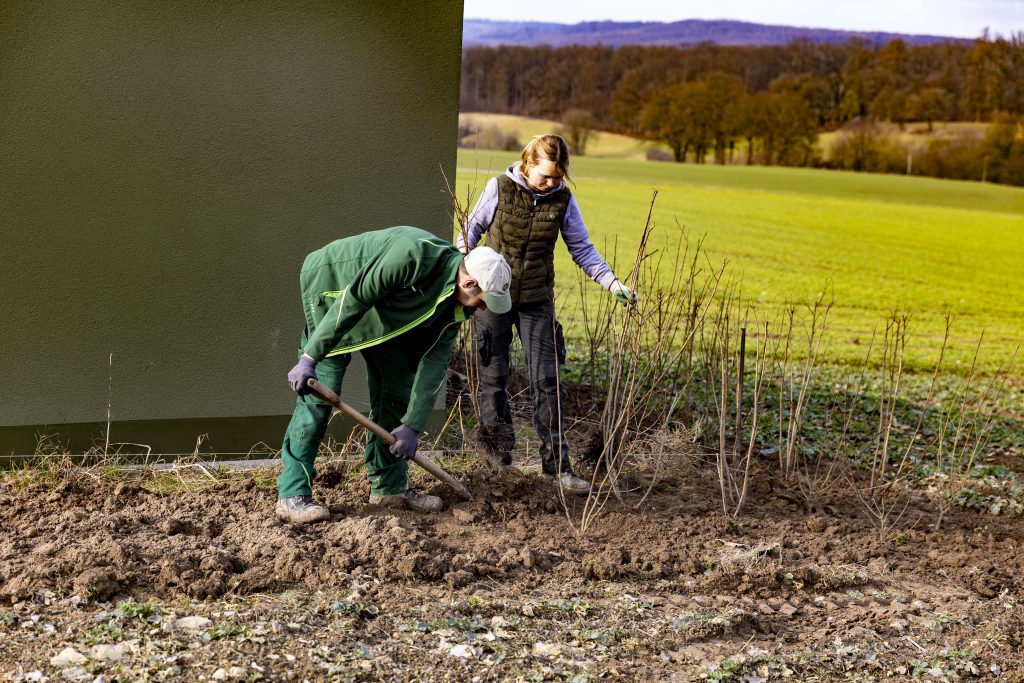 Zwei Personen in Arbeitskleidung pflanzen junge Bäume in einem Feld, eine Person benutzt eine Hacke, die andere hält einen kleinen Baumstamm, im Hintergrund Wiesen und ein Waldgebiet.